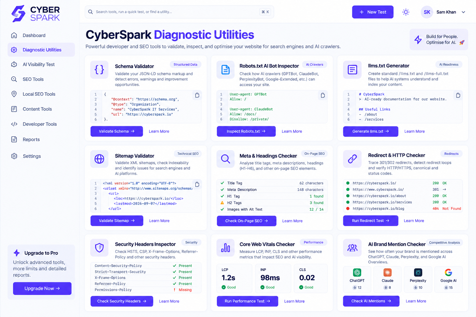 CyberSpark diagnostic utilities, including local SEO tools